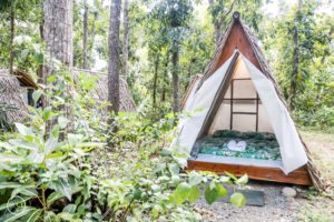 Riverfront Garden Resort - Glamping (2)